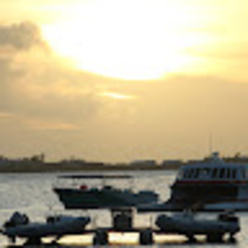 Meet your Posher, Adina